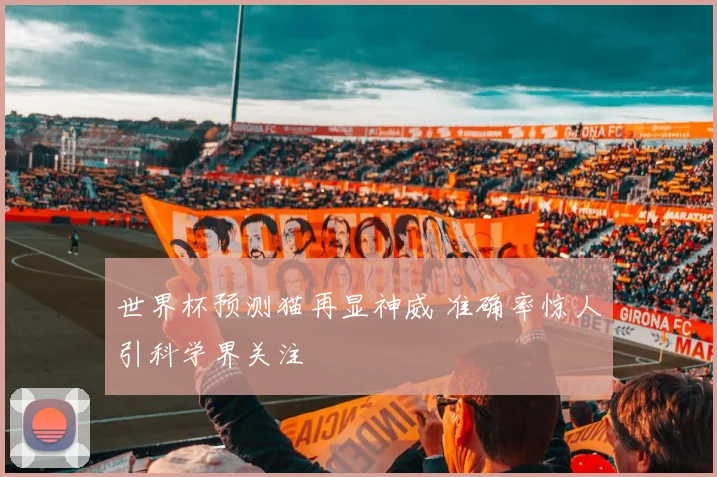 世界杯预测猫再显神威 准确率惊人引科学界关注