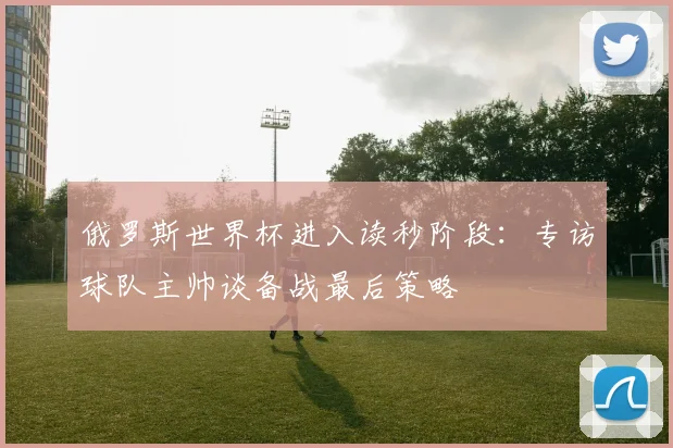 俄罗斯世界杯进入读秒阶段：专访球队主帅谈备战最后策略