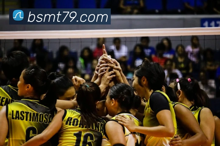 开云手机网页入口品牌故事